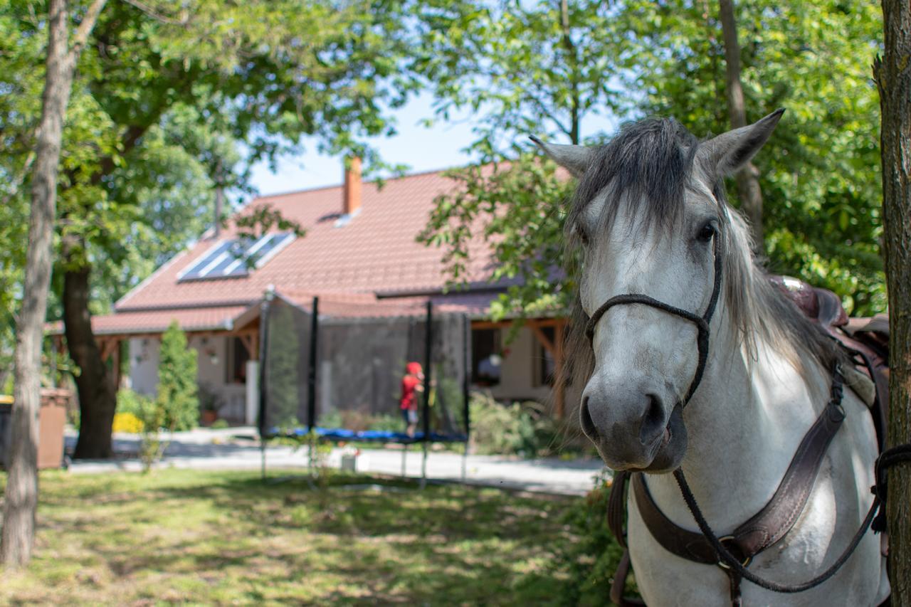 Tölgyfa Vendégház Kiskoros Exterior foto